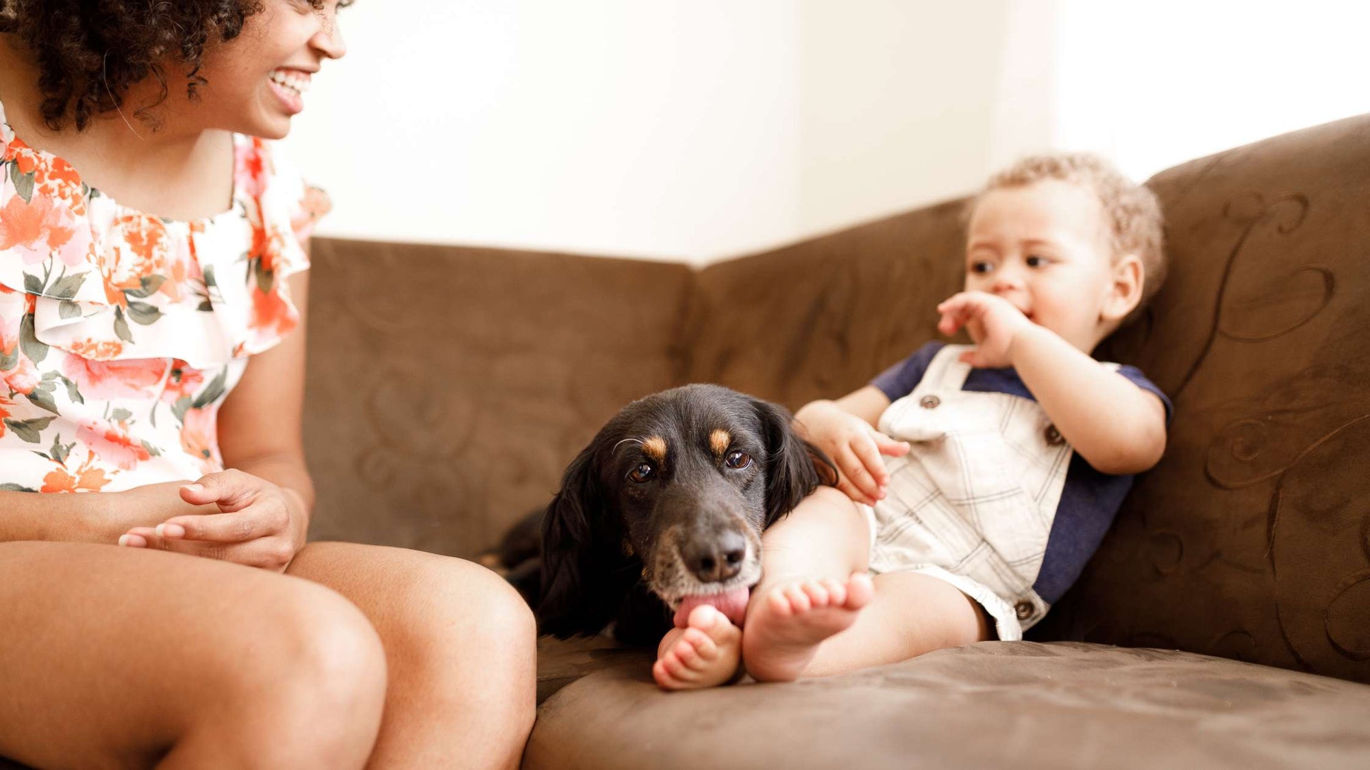 Toddler sitting beside family dog on couch while mom smiles nearby, showing family life with pets
